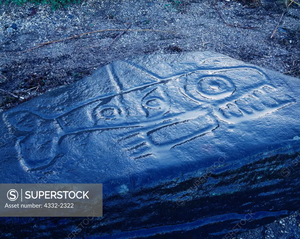 Orca or Killer Whale Petroglyph, Petroglyph Beach, Petroglyph Beach State Historic Park, Wrangell Island, Alaska.
