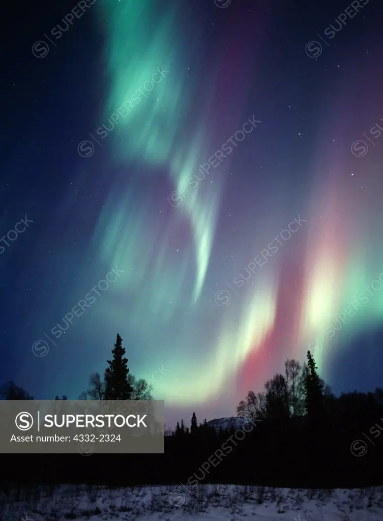 Whitish-green and reddish-purple aurora at dusk on March 23, 2002, boreal forest in Denali State Park, Alaska.