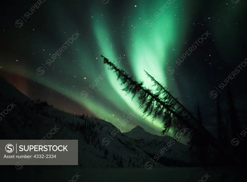Aurora above the Endicott Mountains and Sixtymile Creek, early morning hours of March 5, 2003, Brooks Range, Alaska.
