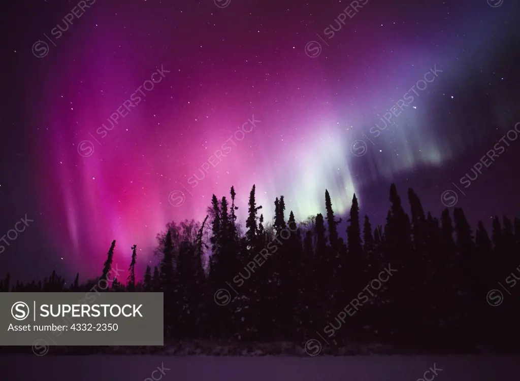 Purple, red and green aurora above East Papoose Lake during the night of December 14, 2006, Lower Susitna Valley, Alaska.