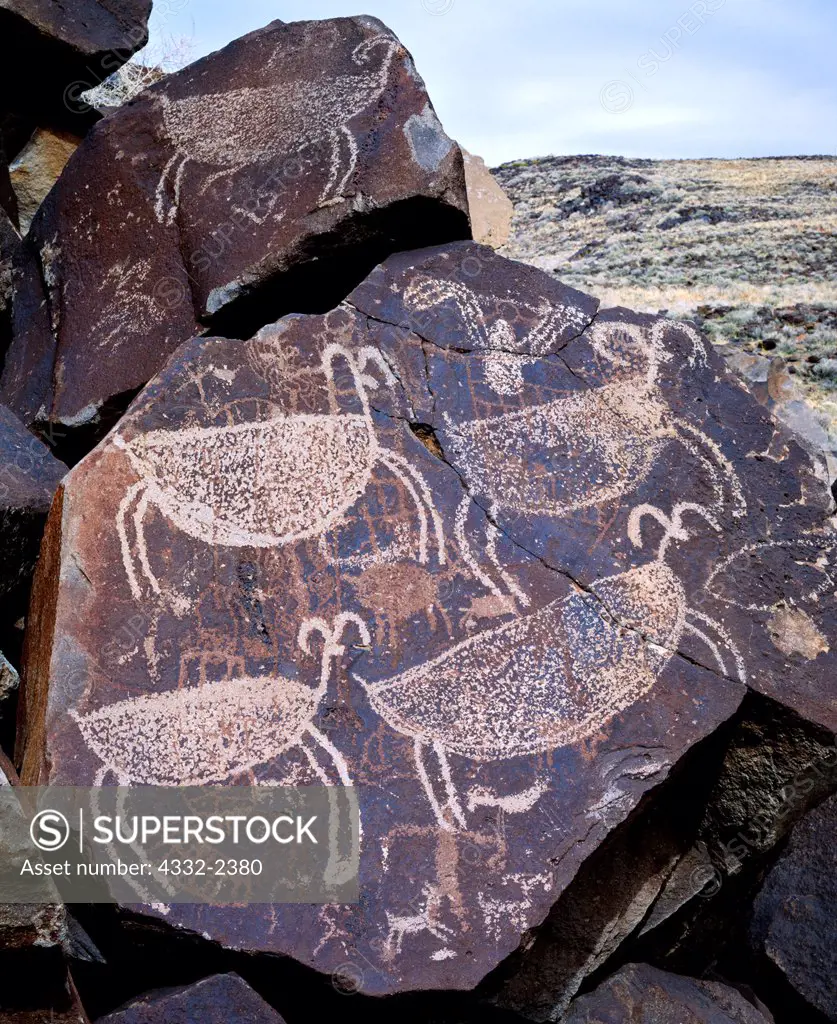 Highly stylized Coso Range desert bighorn sheep petroglyphs, Department of Defense lands, Naval Weapons Station, China Lake, California.