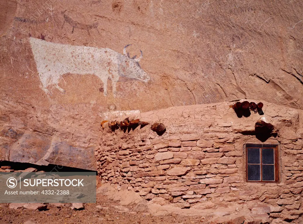 Navajo pictograph of a life-sized standing cow next to a stone hogan, Canyon del Muerto, Canyon de Chelly National Monument, Navajo Reservation, Arizona.