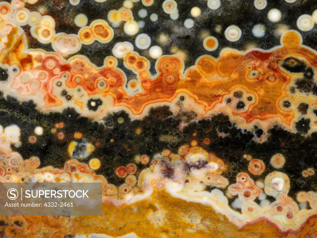 Slab of Ocean Jasper found on the near the village of Marovato on northwest coast of Madagascar.
