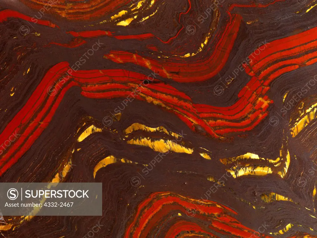 Australian Tiger Iron specimen, a 2.2 to 2.4 billion-year-old banded iron formation showing tectonic folds of dark hematite, red jasper and yellow tiger eye from the Ord Ranges of Western Australia. Tiger Iron may be a fossil stromatolite created by blue-green algea mats that took in carbon dioxide and released oxygen.