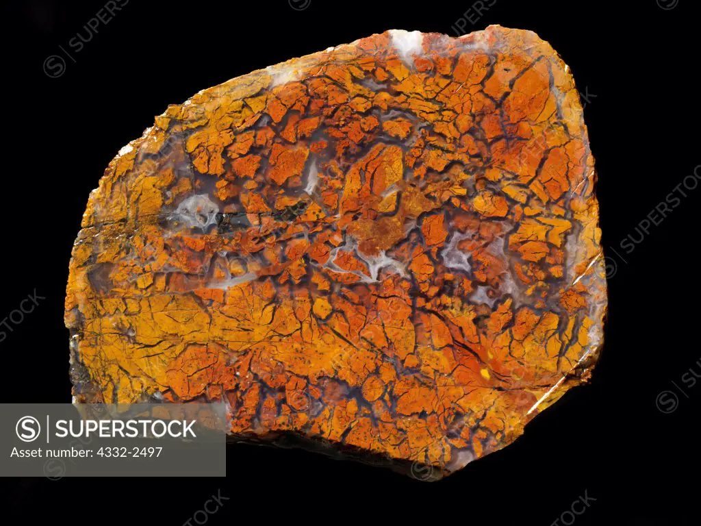 Stone Canyon Jasper, a combination of agate and brecciated jasper from the central coastal region of California.