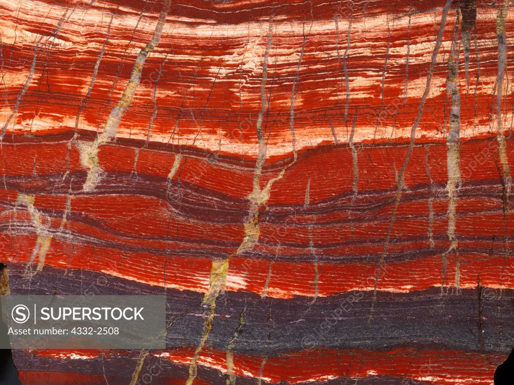 Snakeskin Jasper slab with bands of red jasper and darker grey hematite and cross-cutting quartz veins, approximately 2.5 billion-year-old Weeli Wooli Formation, from Pilbara region of Western Australia approximately 100 miles from Newman, Australia.