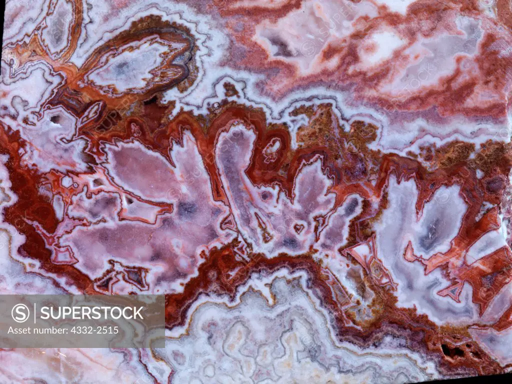 Rosetta Stone slab, a pink and red lace jasper from Chihuahua, Mexico.