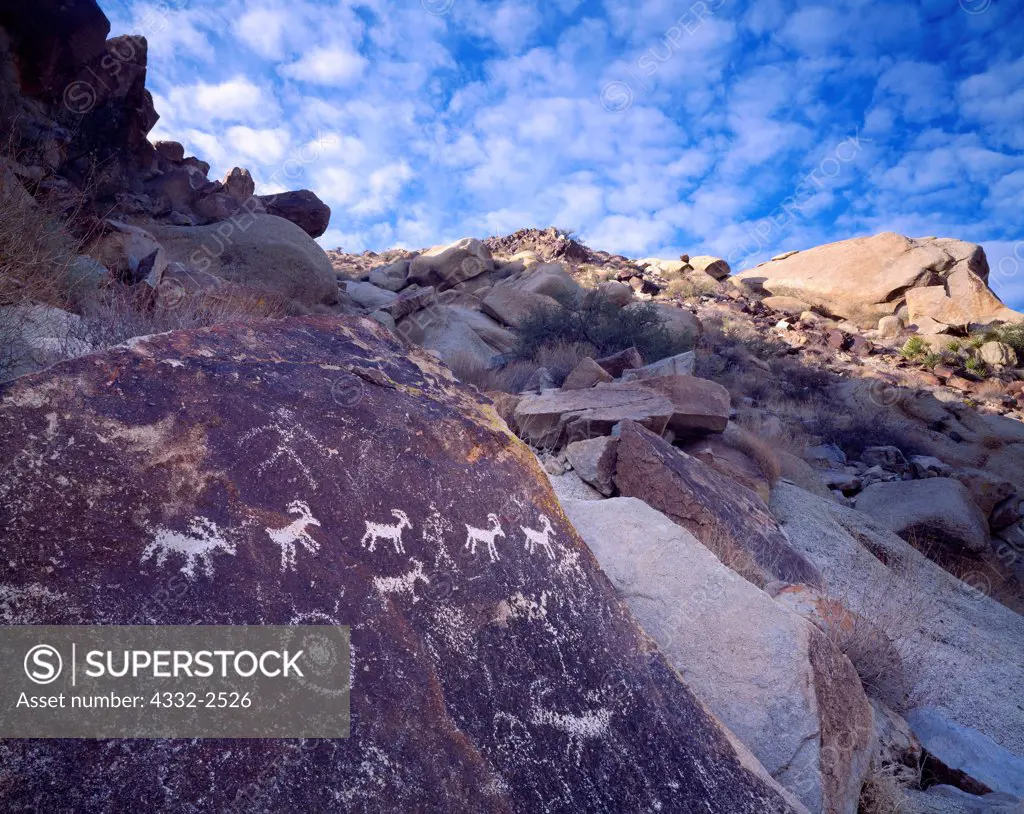 Desert bighorn sheep petroglyphs, Great Basin Style, Grapevine Canyon, Newberry Mountains, Lake Mead National Recreation Area, Nevada.