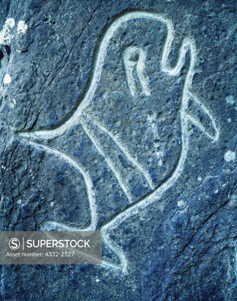 Ozette petroglyph of whale, wedding Rocks, Olympic Coast, Olympic National Park, Washington.