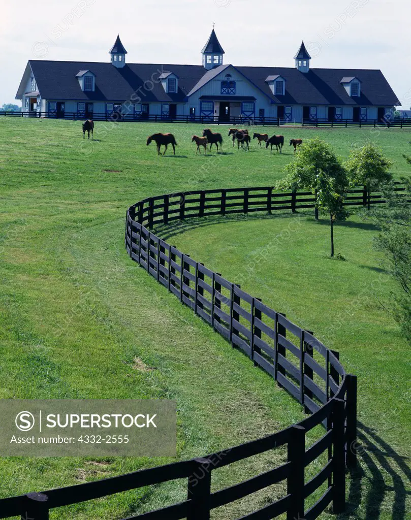 Pasture and stables of Brookside Farms with thoroughbreds, US 60 northwest of Versailles, Woodford County, Kentucky.