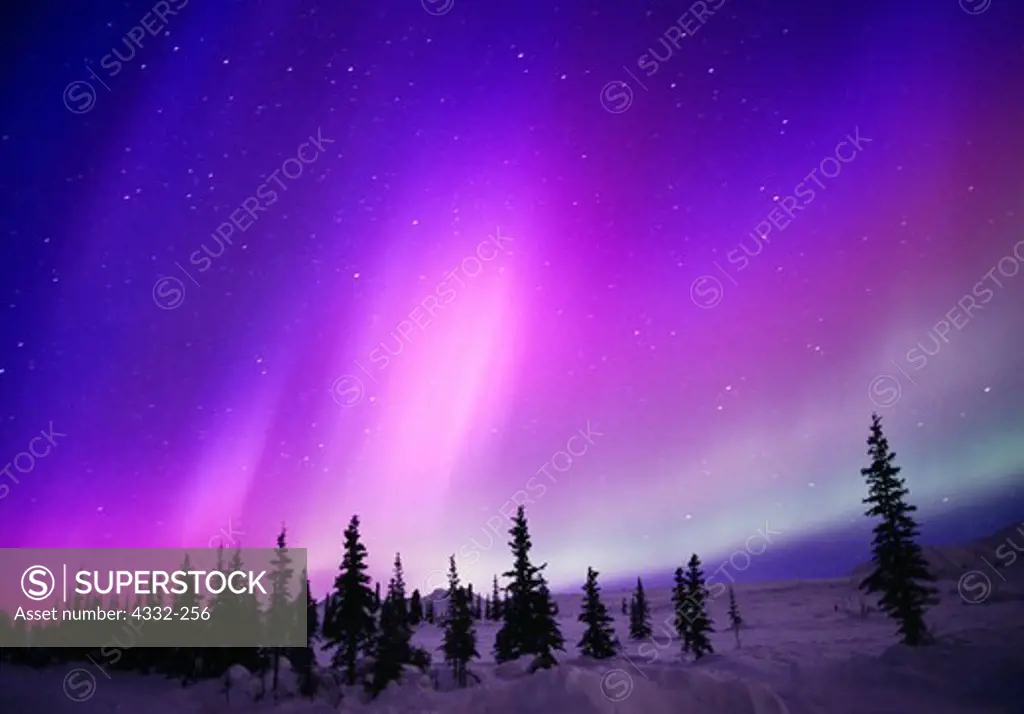 USA, Alaska, Cantwell, Talkeetna Mountains, Jack Creek, Blue, violet and green aurora borealis
