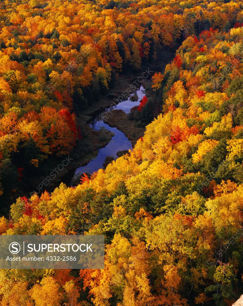 Autumn colors along the Carp River, Porcupine Mountains near Lake Superior, Porcupine Mountains Wilderness State Park, Upper Peninsula of Michigan.