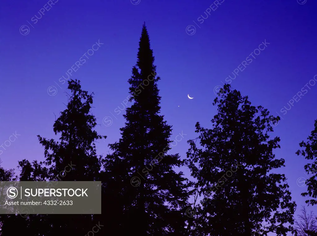 Conjunction of Venus and the crescent Moon at dusk above forest near the Hurricane River, Pictured Rocks National Lakeshore, Upper Peninsula of Michigan.