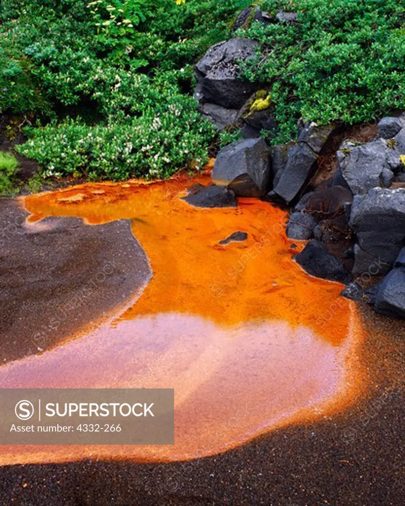 A warm-water spring turns a deep rust color due to its high iron content. On the shore of Surprise Lake, Aniakchak Caldera, Aniakchak National Monument, Alaska.