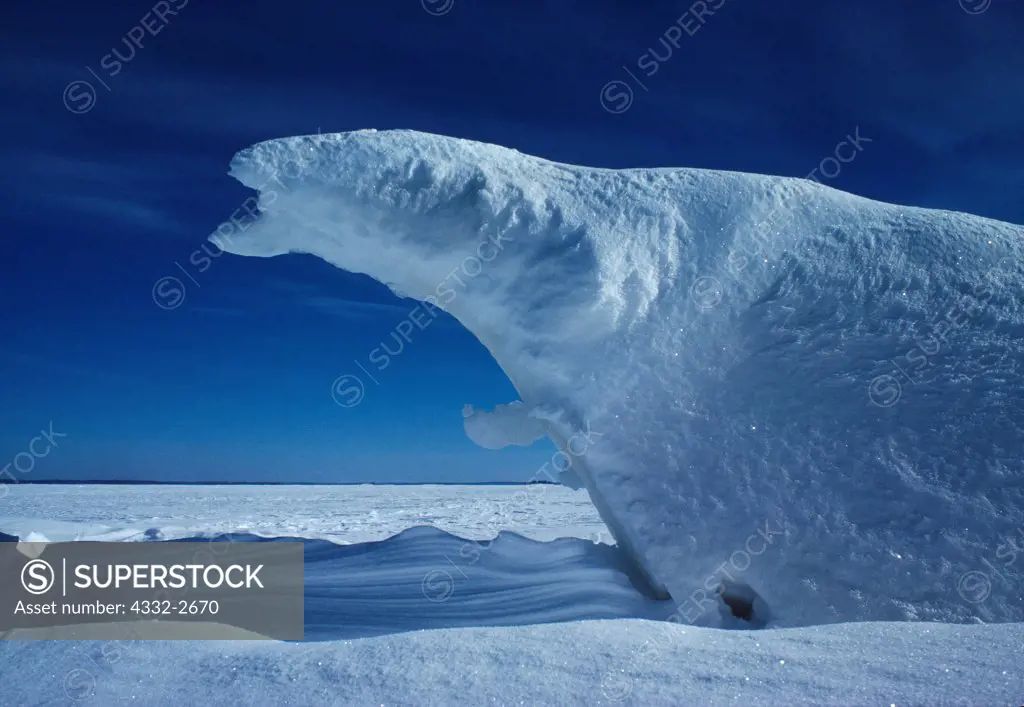Naturally formed 'polar bear,' ice pressure ridge on Rainy Lake, Voyageurs National Park, Minnesota.