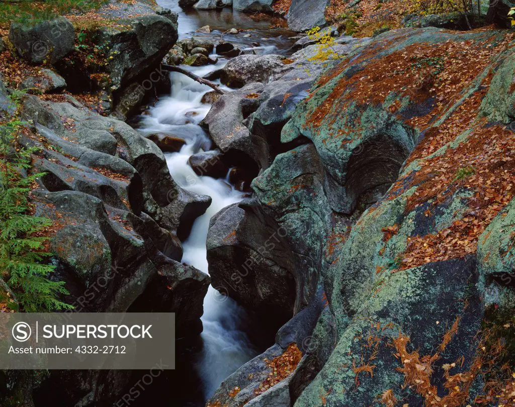Sculptured Rocks of the Cockermouth River, New Hampshire.