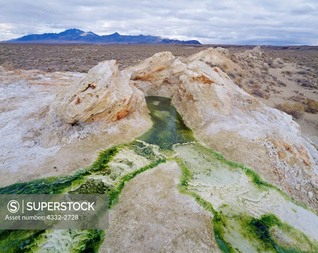 Travertine terraces and thermolphilic algae in runoff of hot spring in the Black Rock Desert with the Jackson Mountains beyond, Nevada.