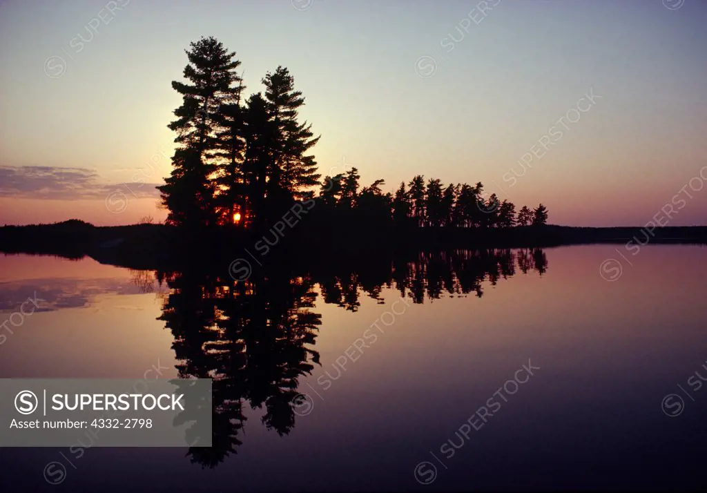 White pines reflected in Nym Lake, Quetico Provinicial Park, Ontario, Canada.