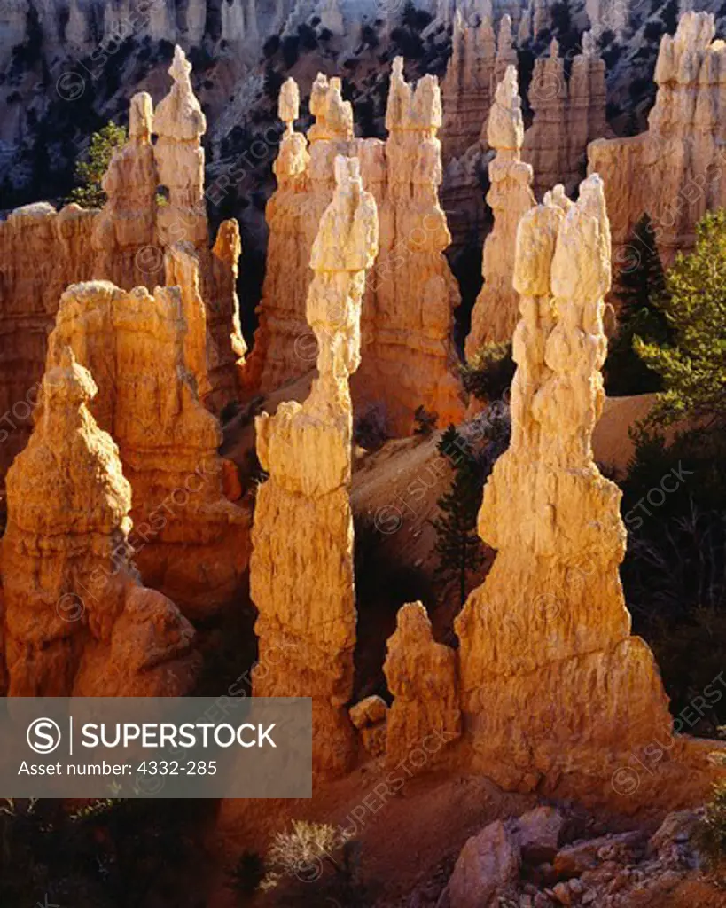 Bizarre eroded shapes of limestone hoodoos of Claron Formation Limestone. Fairyland, Bryce Canyon National Park, Utah.