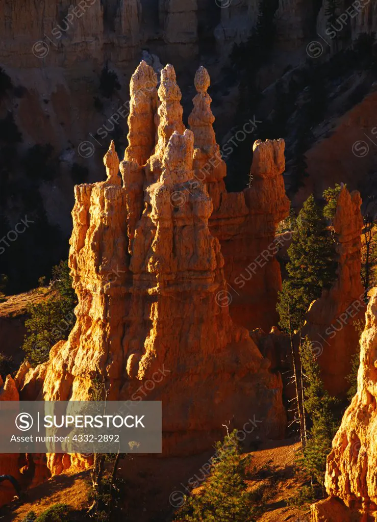 Limestone hoodoos in Fairyland Canyon, Bryce Canyon National Park, Utah