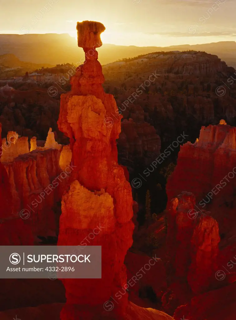Thor's Hammer basking in reflected light of sunrise, Bryce Canyon National Park, Utah.