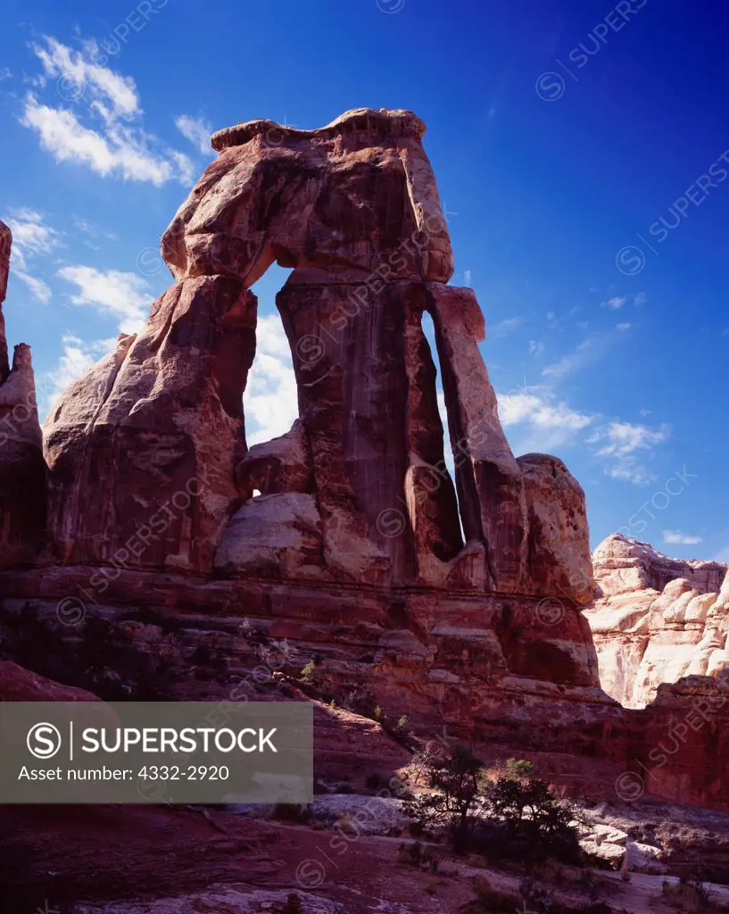 Druid Arch, eroded fin of Cedar Mesa Sandstone, Elephant Canyon, Needles District, Canyonlands National Park, Utah.