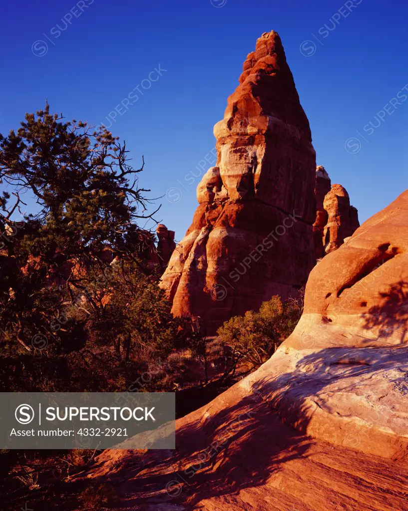 Spire of Cedar Mesa Sandstone, Chesler Park, The Needles, Canyonlands National Park, Utah.