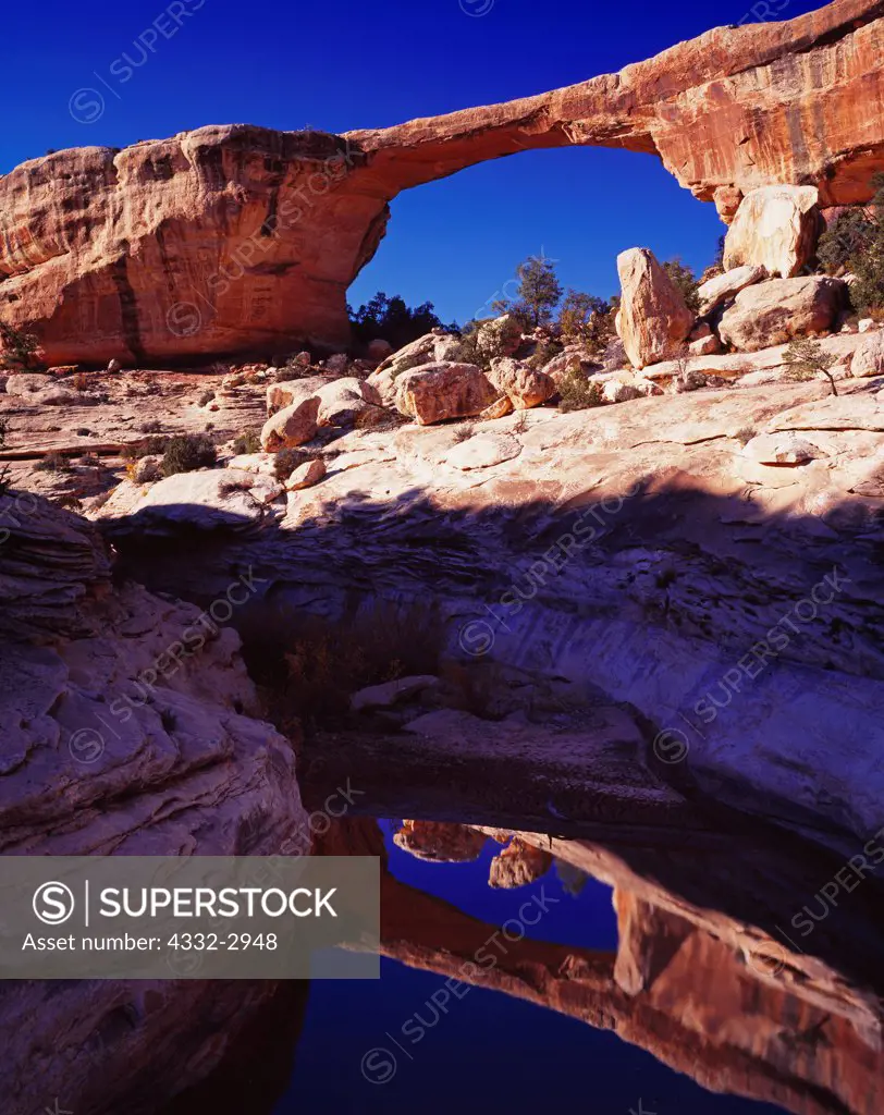 Owachomo Natural Bridge with a span of 180 feet and a height of 106 feet reflected in a pool at the junction of Tuwa and Armstrong Canyons, Natural Bridges National Monument, Utah.