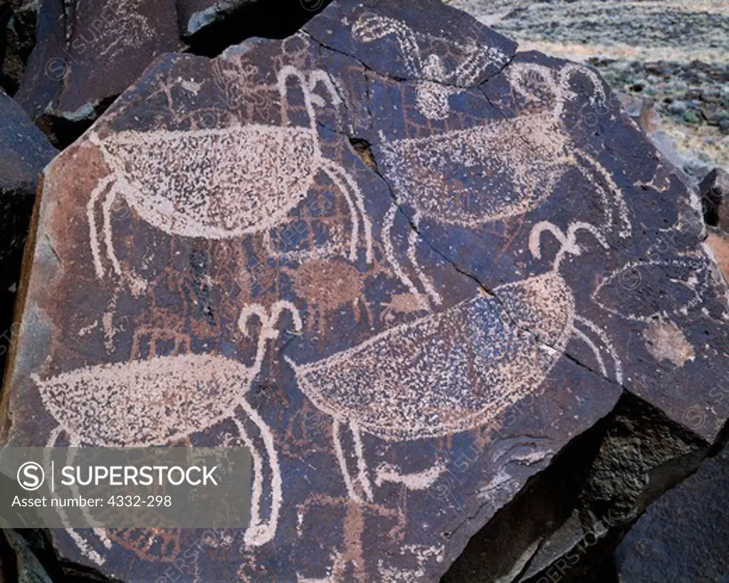 Highly stylized Coso Range desert bighorn sheep petroglyphs, Department of Defense Lands, Naval Weapons Station, China Lake, California.
