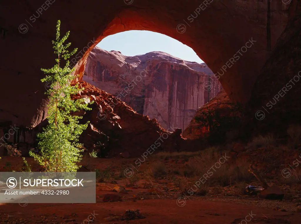 Lobo Arch, also known as Jacob Hamblin Arch, Coyote Wash, Escalante River Basin, Glen Canyon National Recreation Area, Utah.
