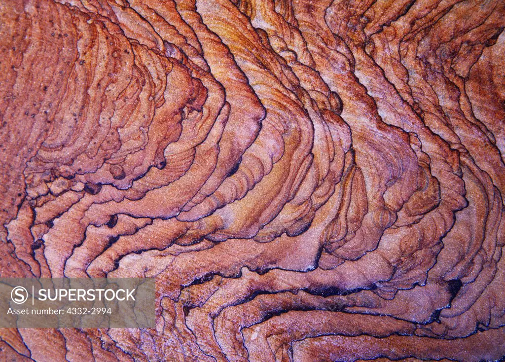 Iron oxide pattern in Navajo Sandstone, Hackberry Canyon, Grand Staircase-Escalante National Monument, Utah.