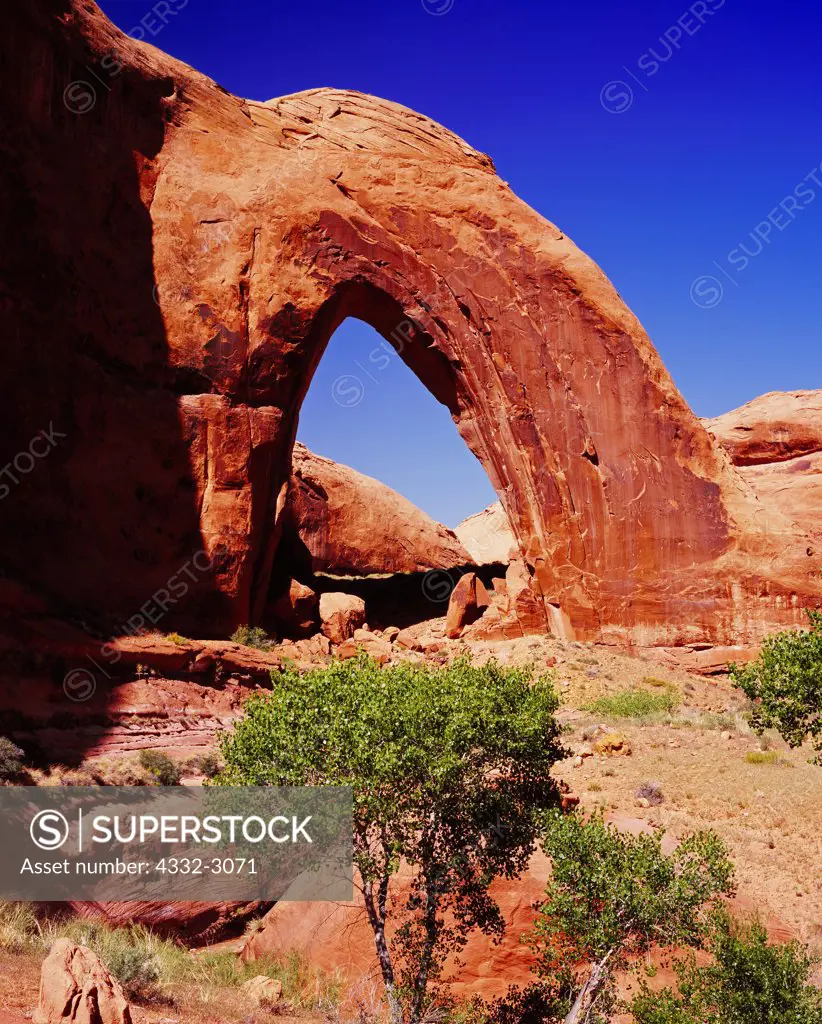 Broken Bow Arch, Willow Gulch, Escalante River Tributary, Glen Canyon National Recreation Area, Utah.