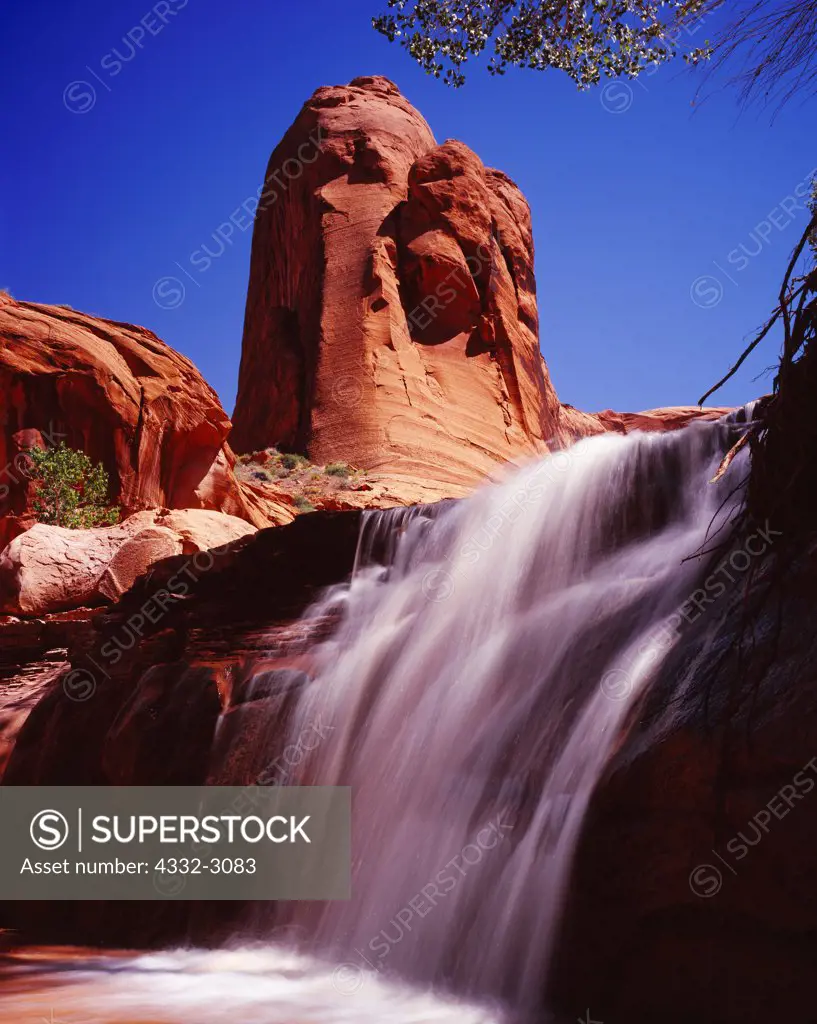Waterfall in Coyote Gulch, Escalante River tributary, Glen Canyon National Recreation Area, Utah.