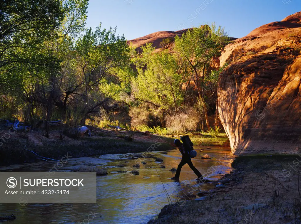 Backpacker Rick Hutchinson crossing Coyote Wash, Coyote Gulch, tributary to the Escalante River, Glen Canyon National Recreation Area, Utah.