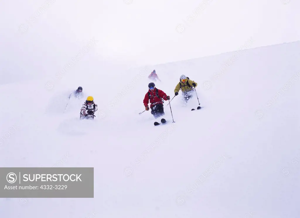Five alpine skiers including Dylan Crossman and Brittany Lewis enjoying fresh powder at Alta, Little Cottonwood Canyon, Utah.