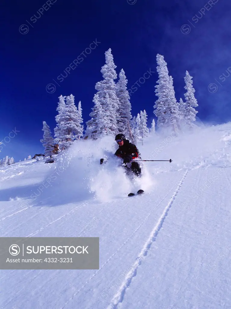 Alpine skier Dylan Crossman enjoying deep powder at Alta, Little Cottonwood Canyon, Wasatch Range, Utah.