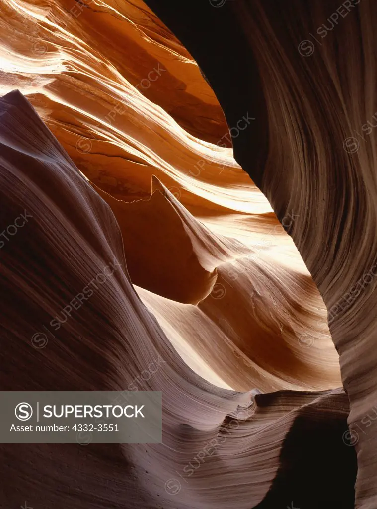 USA, Arizona, Colorado Plateau, Wild scenery within slickrock slot canyon
