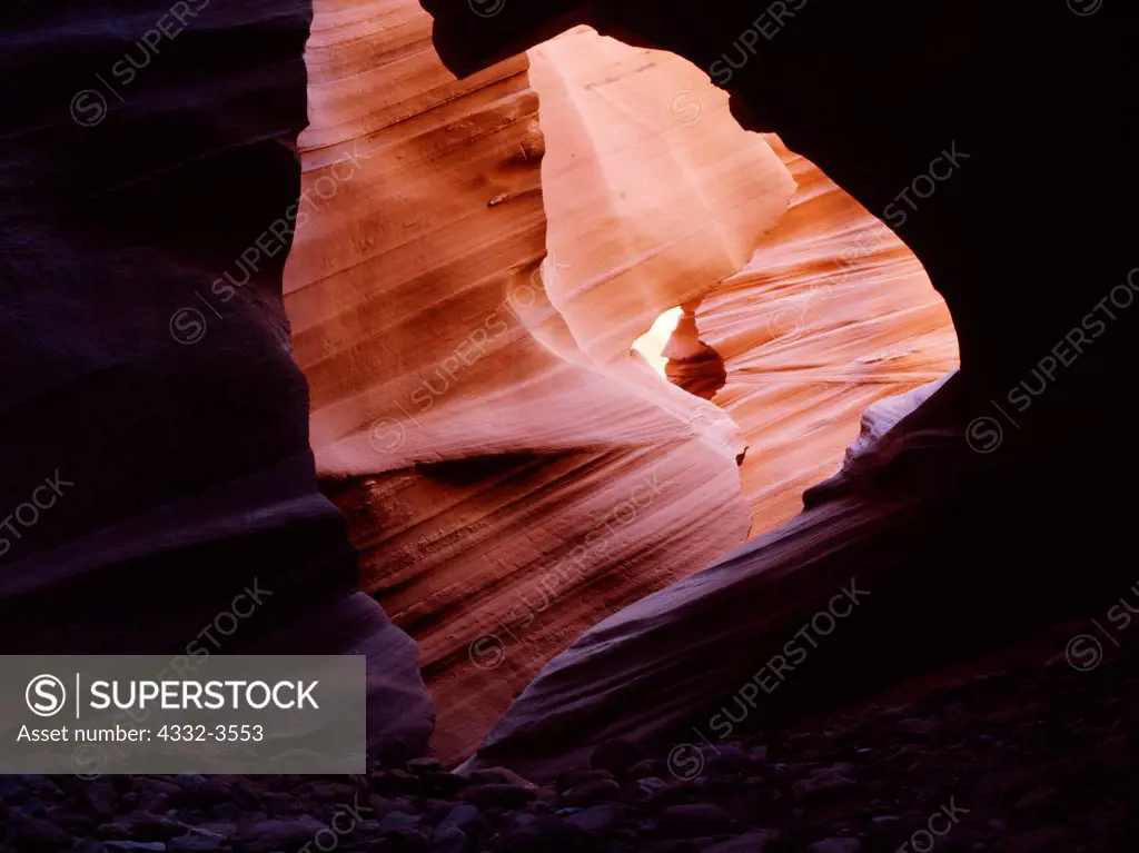 USA, Arizona, Colorado Plateau, Orange chamber within slickrock slot canyon