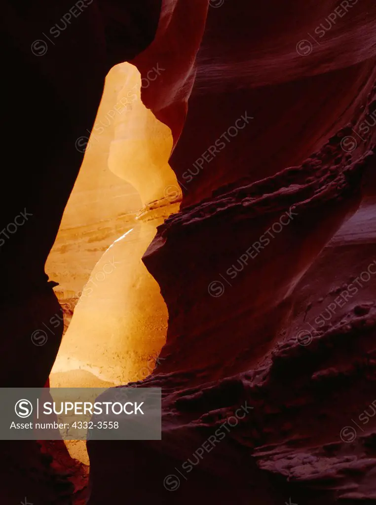 USA, Utah, Grand Staircase-Escalante National Monument, Reflected sunlight illuminating orange chamber within slickrock slot Canyon