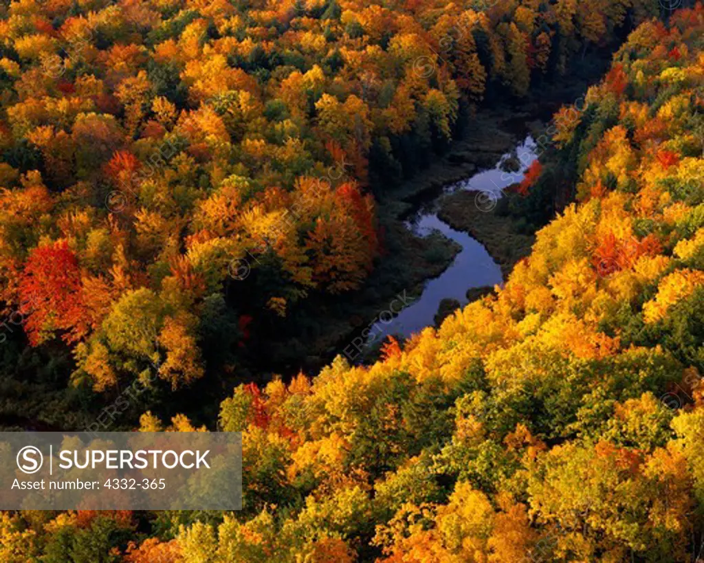 Autumn colors along the Carp River, Porcupine Mountains near Lake Superior, Upper Peninsula of Michigan.