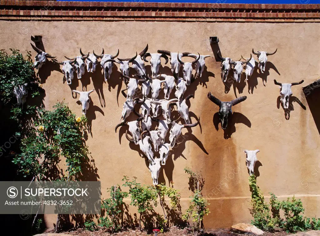 USA, Texas, Marathon, Weathered cattle skulls in shape of Texas Longhorn, courtyard of historic Gage Hotel