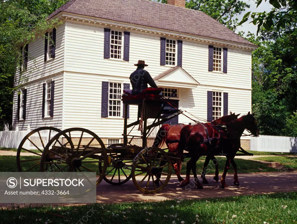 USA, Virginia, Williamsburg, Horses with buckboard at Colonial Williamsburg, restored eighteenth-century capital