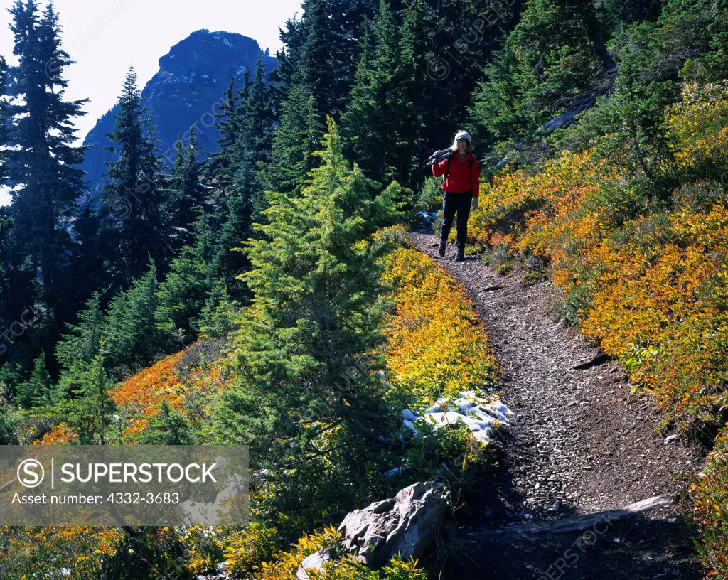 USA, Washington, Mount Baker-Snoqualmie National Forest, Randi Hirschmann hiking trail in Mount Baker Wilderness, Winchester Mountain beyond