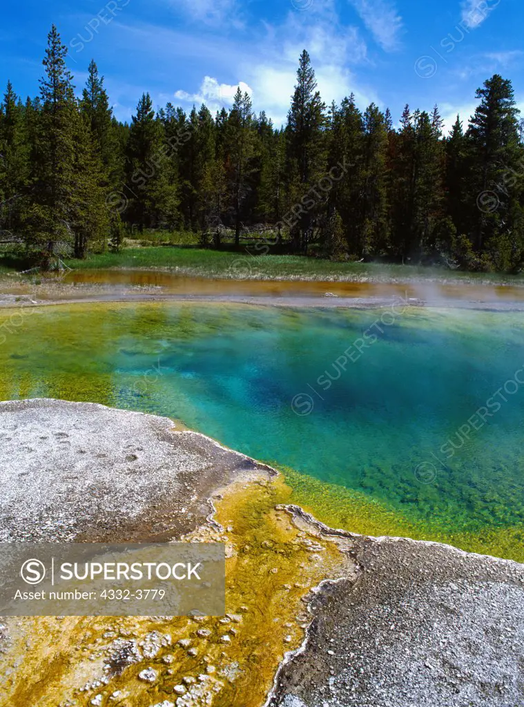 USA, Wyoming, Yellowstone National Park, Cupric Spring