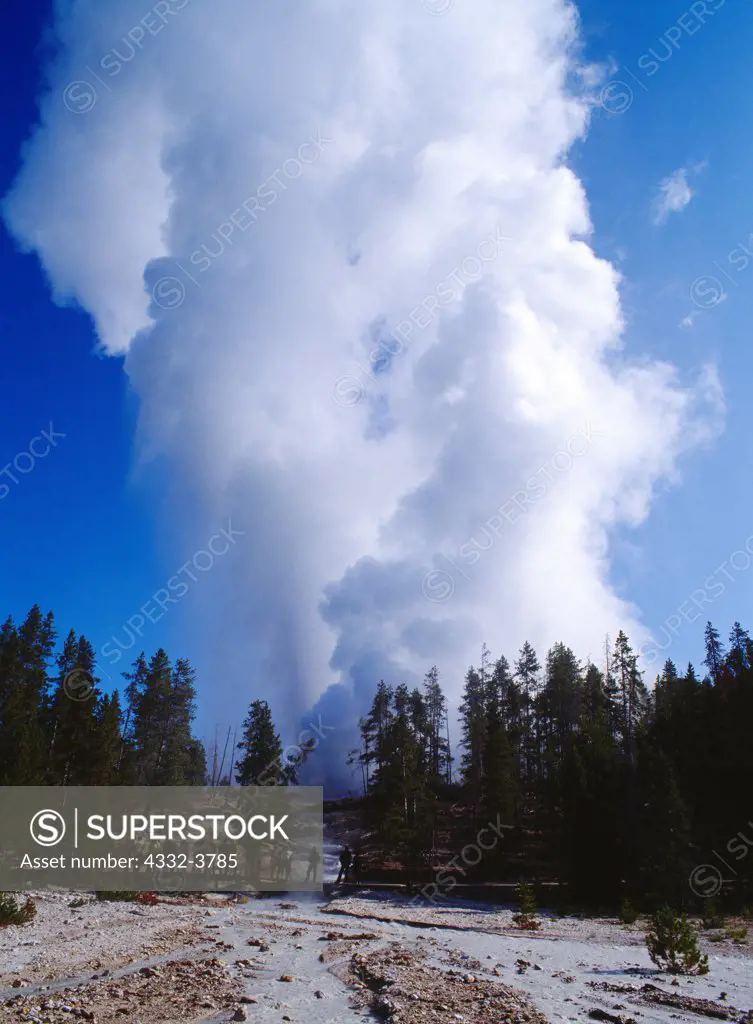 USA, Wyoming, Yellowstone National Park, Norris Geyser Basin, Steamboat Geyser, world's largest geyser in major eruption