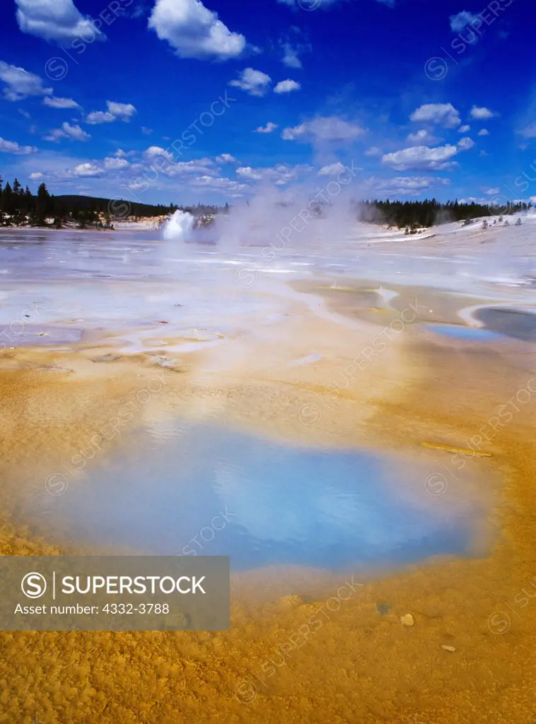 USA, Wyoming, Yellowstone National Park, Norris Geyser Basin, Blue Geyser erupting across Porcelain Basin