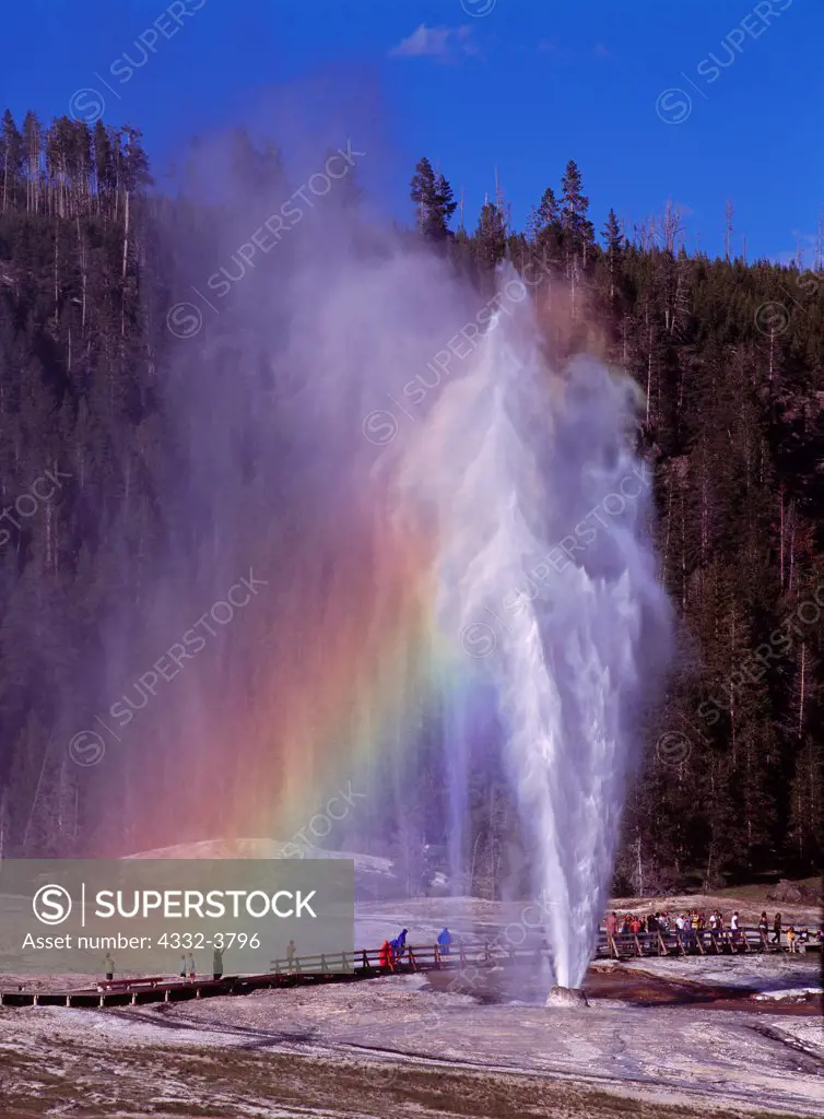USA, Wyoming, Yellowstone National Park, Upper Geyser Basin, Beehive Geyser erupting with rainbow