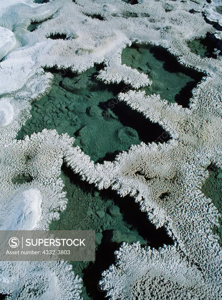 USA, Wyoming, Yellowstone National Park, Upper Geyser Basin, Beaded geyserite pools of Artemesia Geyser