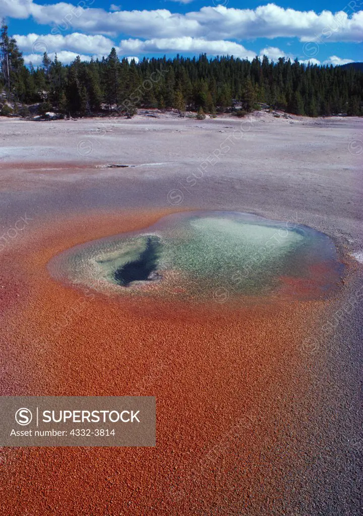 USA, Wyoming, Yellowstone National Park, Norris Geyser Basin, Acidic hot spring on One Hundred Springs Plain