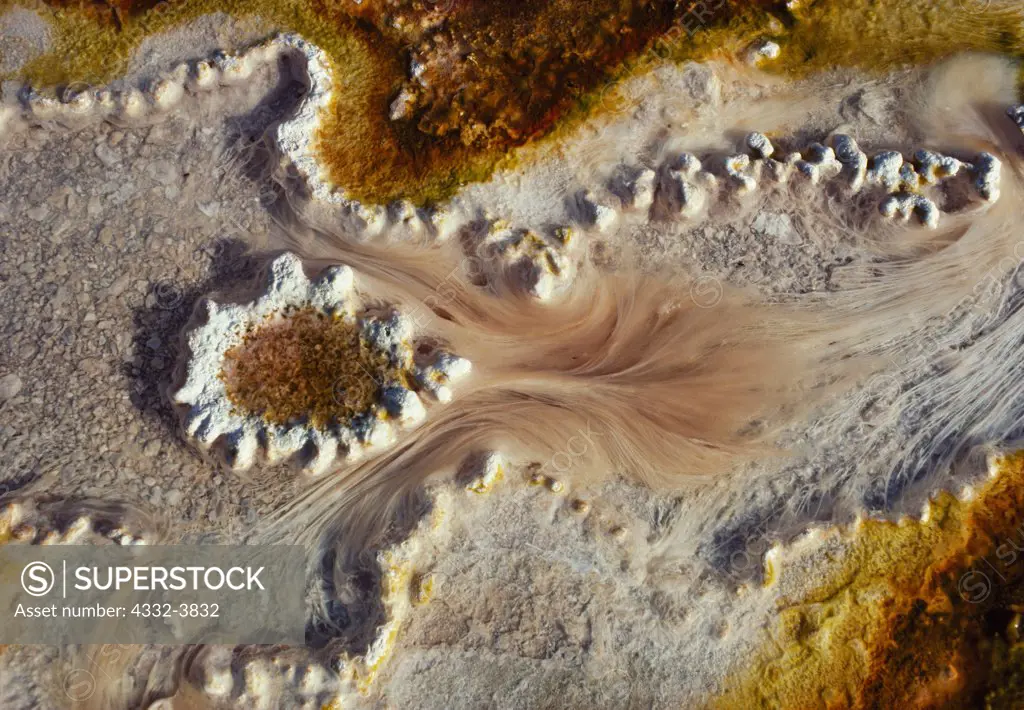 USA, Wyoming, Yellowstone National Park, Thermophilic bacteria in hot spring along Firehole River